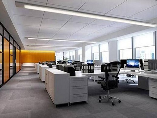 虎丘区肥牛一号报价