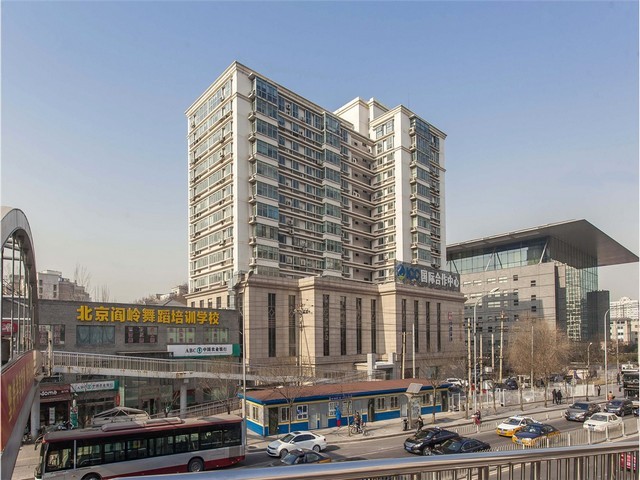 北京苗圃造型树价格表